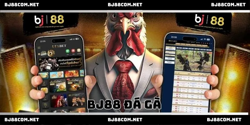 Bj88 đá gà