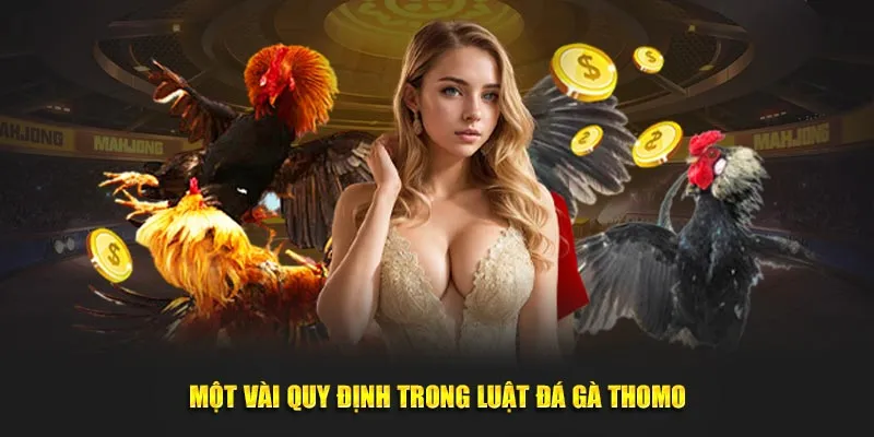 Một vài quy định trong luật đá gà thomo